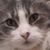 Darlene Oudette's profile image