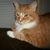 Gina Carroll Sampson's profile image
