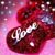 Judith Webb Rippelmeyer's profile image