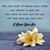 Holly Leigh Wilcox's profile image