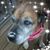 Doug Johnston's profile image