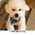 Marilyn Ann's profile image