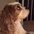 Shelly Cozart's profile image