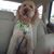 Susan Fletcher's profile image