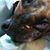 Natalie Finlay's profile image