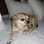 Edna Geneva Thacker Powell's profile image