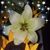 Vicki Ladika's profile image