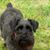 Richard Shupe's profile image