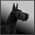 Lisa Barratt's profile image