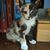 George Robert Brown's profile image
