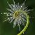 Julie Tholen's profile image