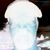 Steven Sandvig's profile image