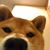 Jazel Brown's profile image