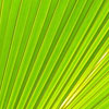 Linda L.'s profile image