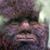 Dwayne Sewell's profile image