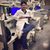 Taewan John Kim's profile image