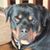 Jerry Vaughan's profile image