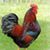 Becky Spangler Maryfield's profile image