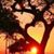 Betty Anderson's profile image