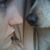Melanie C Meyer's profile image