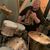 Matt Keith's profile image
