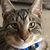 Connie Chevalier Skidmore's profile image
