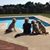 Jami Grossman Stefan's profile image
