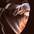 Mrugesh Trivedi's profile image