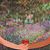 Sabiha Alijah's profile image