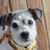 Debbi Voight's profile image
