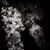 Eva Fuentes's profile image