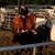 Debbie Burns Hunke's profile image