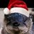 Mark Pachankis's profile image