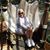 Carol Norton's profile image