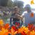 Deeann Mangis's profile image