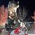 Rose Ellen Pfau's profile image