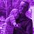 Nancy Strickland's profile image