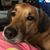 Thereza Cononi's profile image