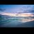 Tina Buchanan Leinart's profile image