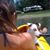 Dania Broukman's profile image