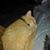 Gena Brown's profile image