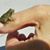 Meg Rifenburg's profile image