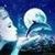 Anya Bashore's profile image