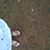 Irawan SI's profile image