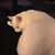 Beryla Long's profile image