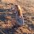 Courtnie Zyla's profile image