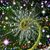 Lynda Zibbideo's profile image