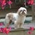 Karen Stolzenbach's profile image