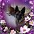 Michel Zarcone's profile image