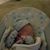 Steven Ross Facine's profile image